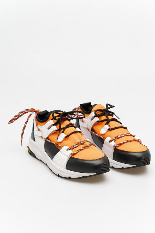 POLLINI