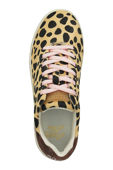 SCOTCH & SODA